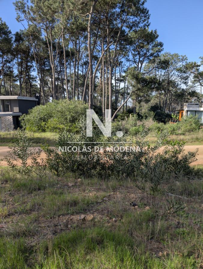 Foto de Oportunidad, terreno en venta en el barrio privado Reserva Montoya, imagen 1