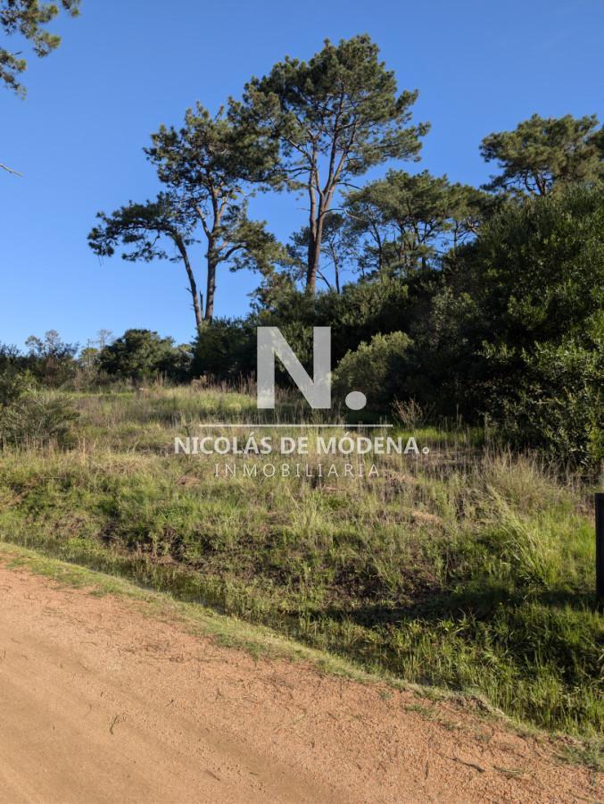 Foto de Oportunidad, terreno en venta en el barrio privado Reserva Montoya, imagen 5