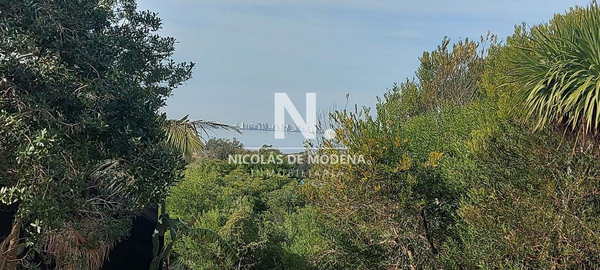 Foto de Terreno en las Grutas Punta Ballena en venta, imagen 5
