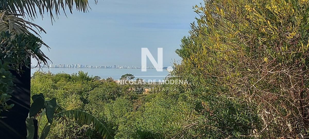 Foto de Terreno en las Grutas Punta Ballena en venta, imagen 3