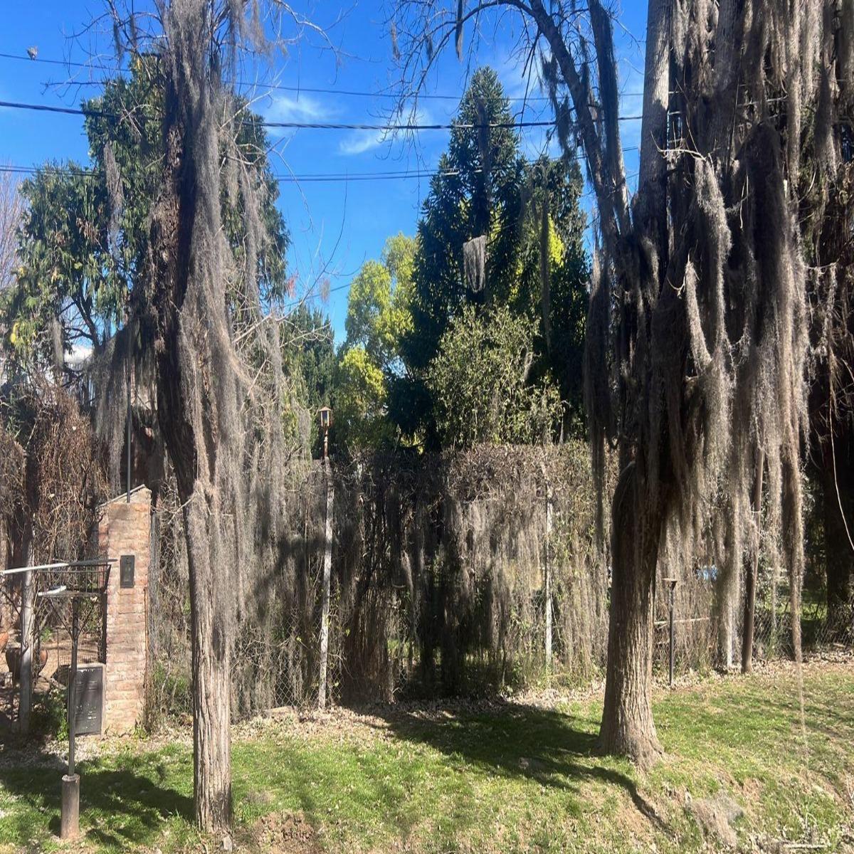 Venta Terreno en Pueblo Esther 3