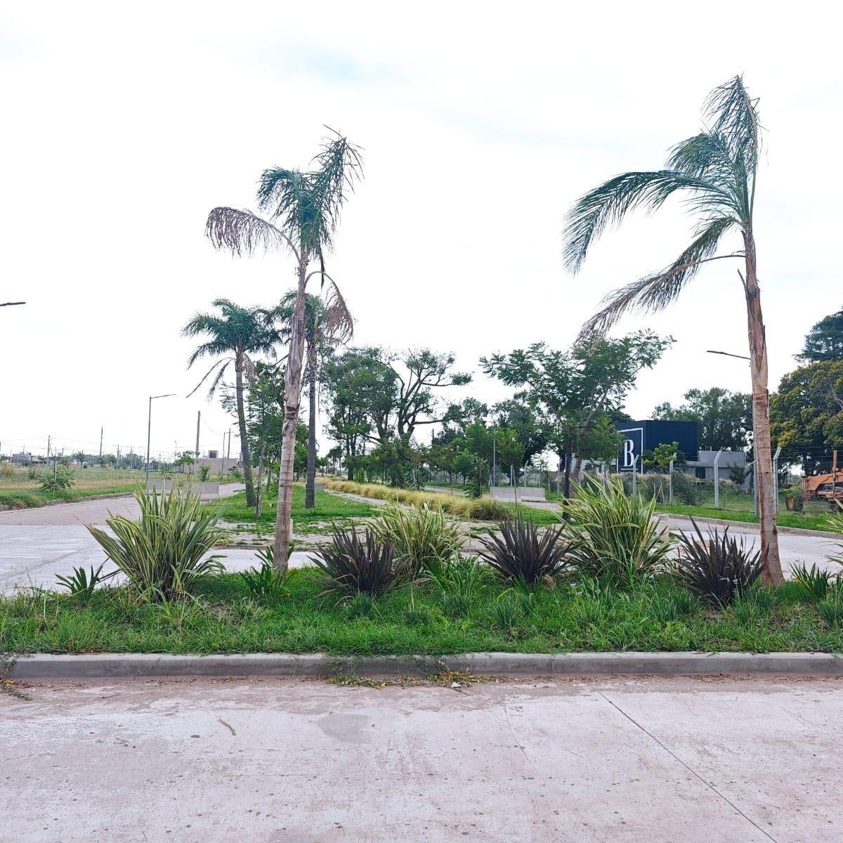 Venta Terreno en Belvedere, Capitan Bermudez 4