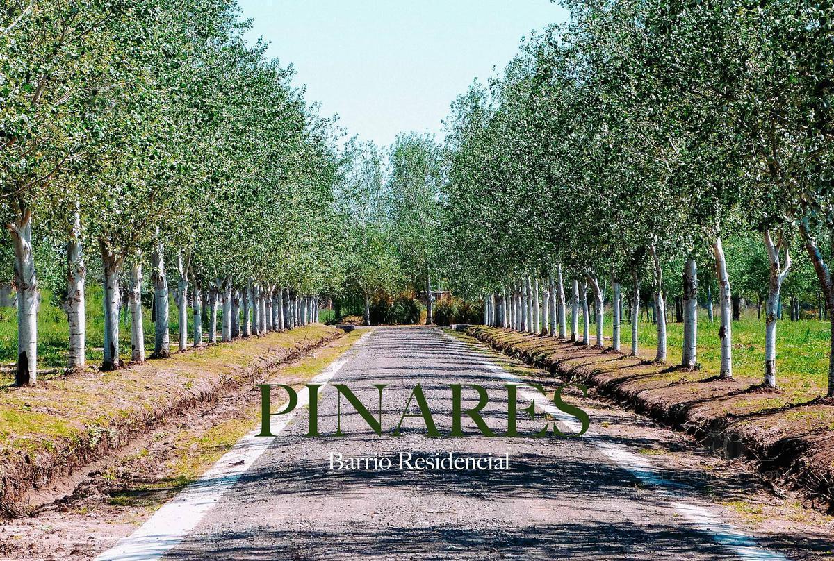 Foto de Venta terreno con gran ubicación en Pinares del Sur, imagen 5