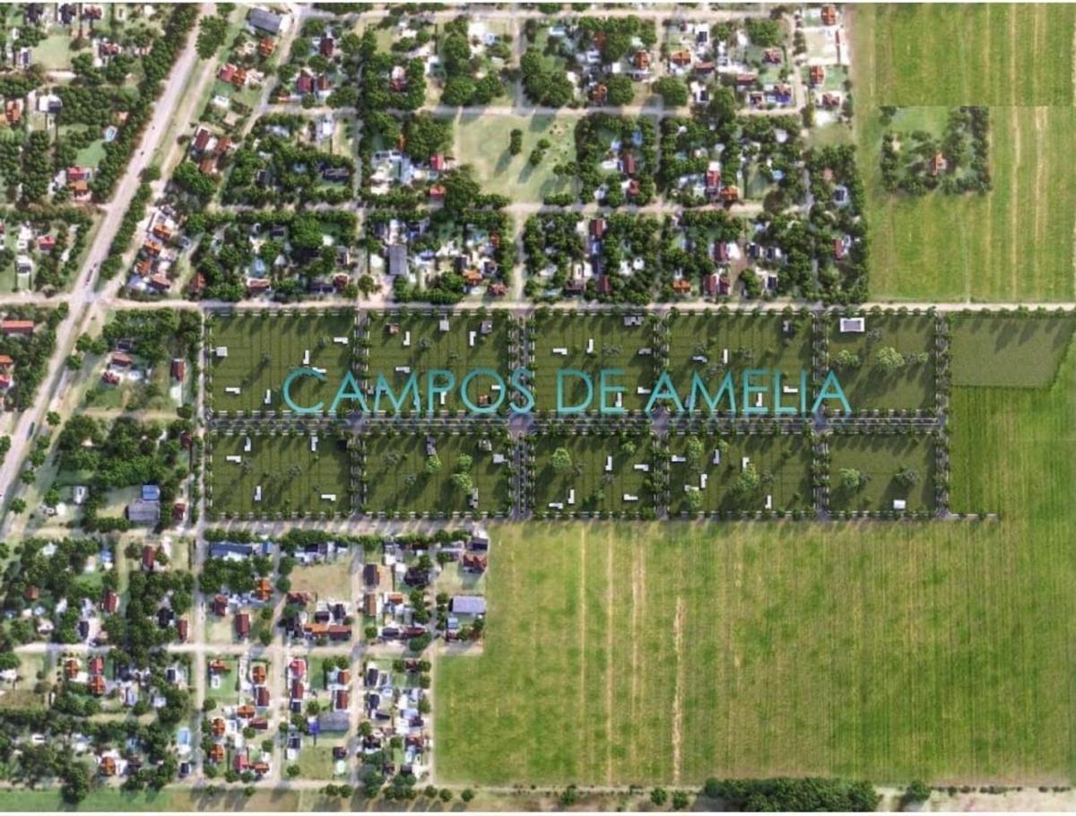Foto de Venta de terreno en barrio abierto Campos de Amelia, Villa Amelia, imagen 4