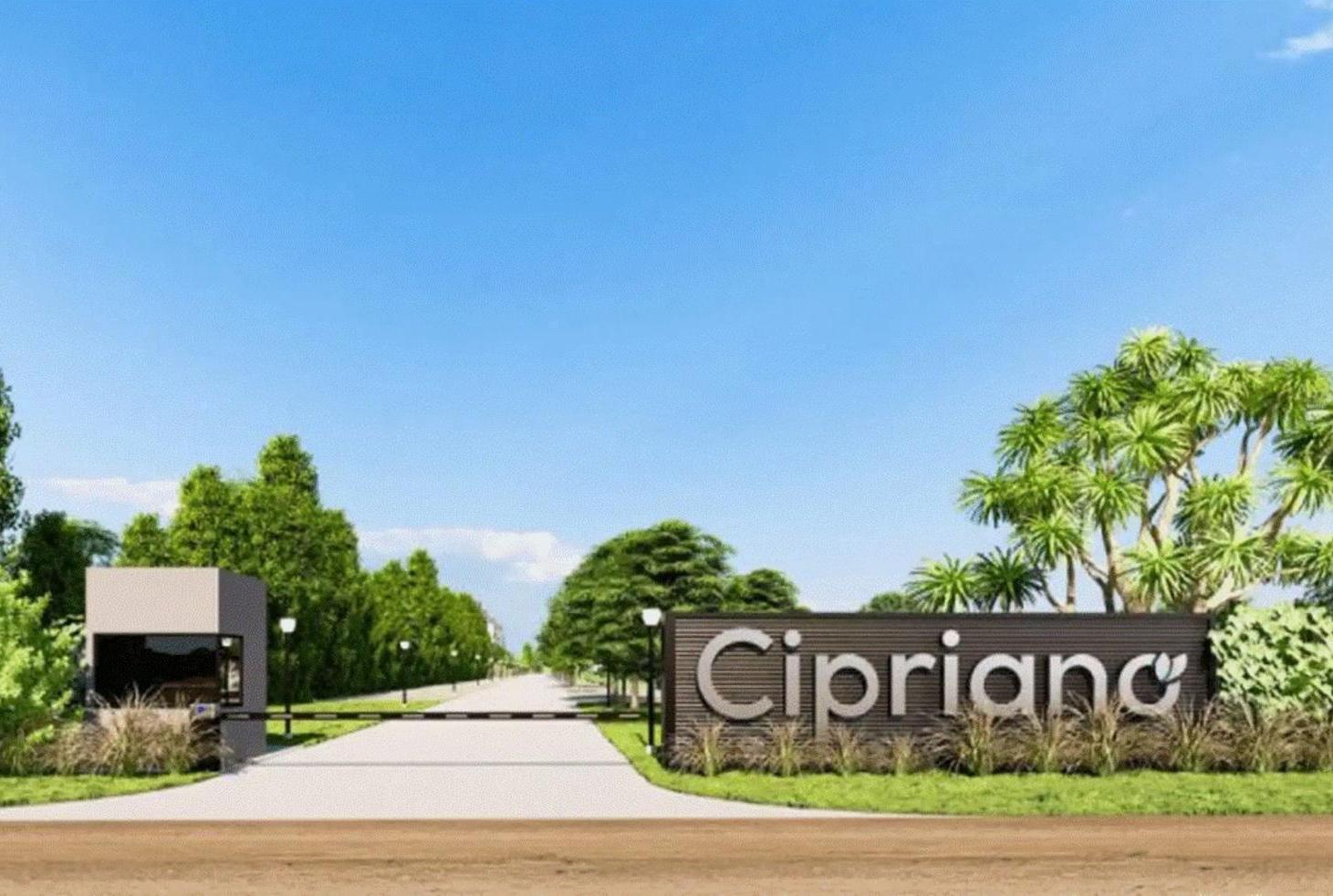 Foto de Venta terreno en Barrio Cerrado Cirpiano,Alvear, imagen 2
