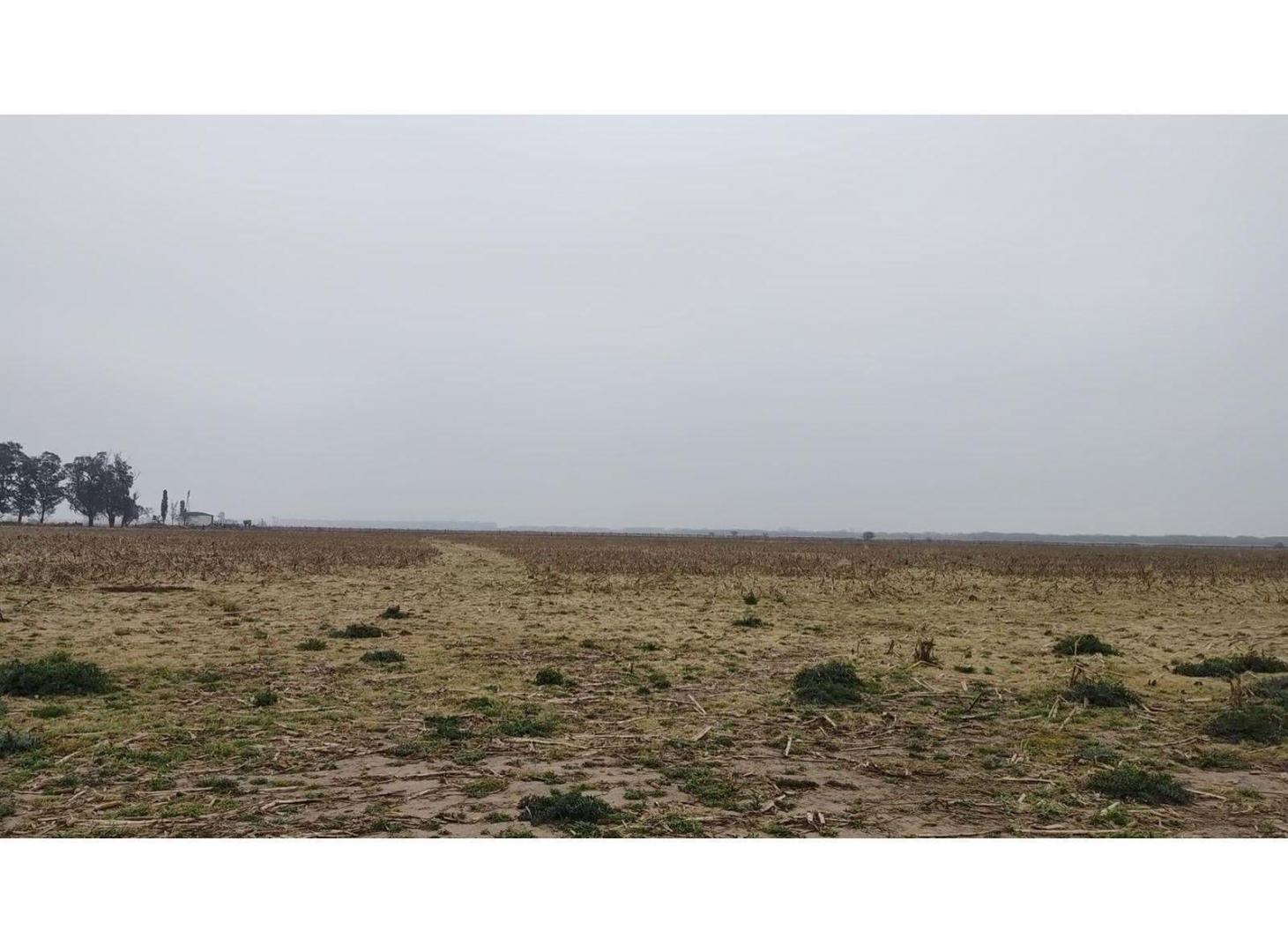 Foto de Venta fracción de campo en Piñero, imagen 4