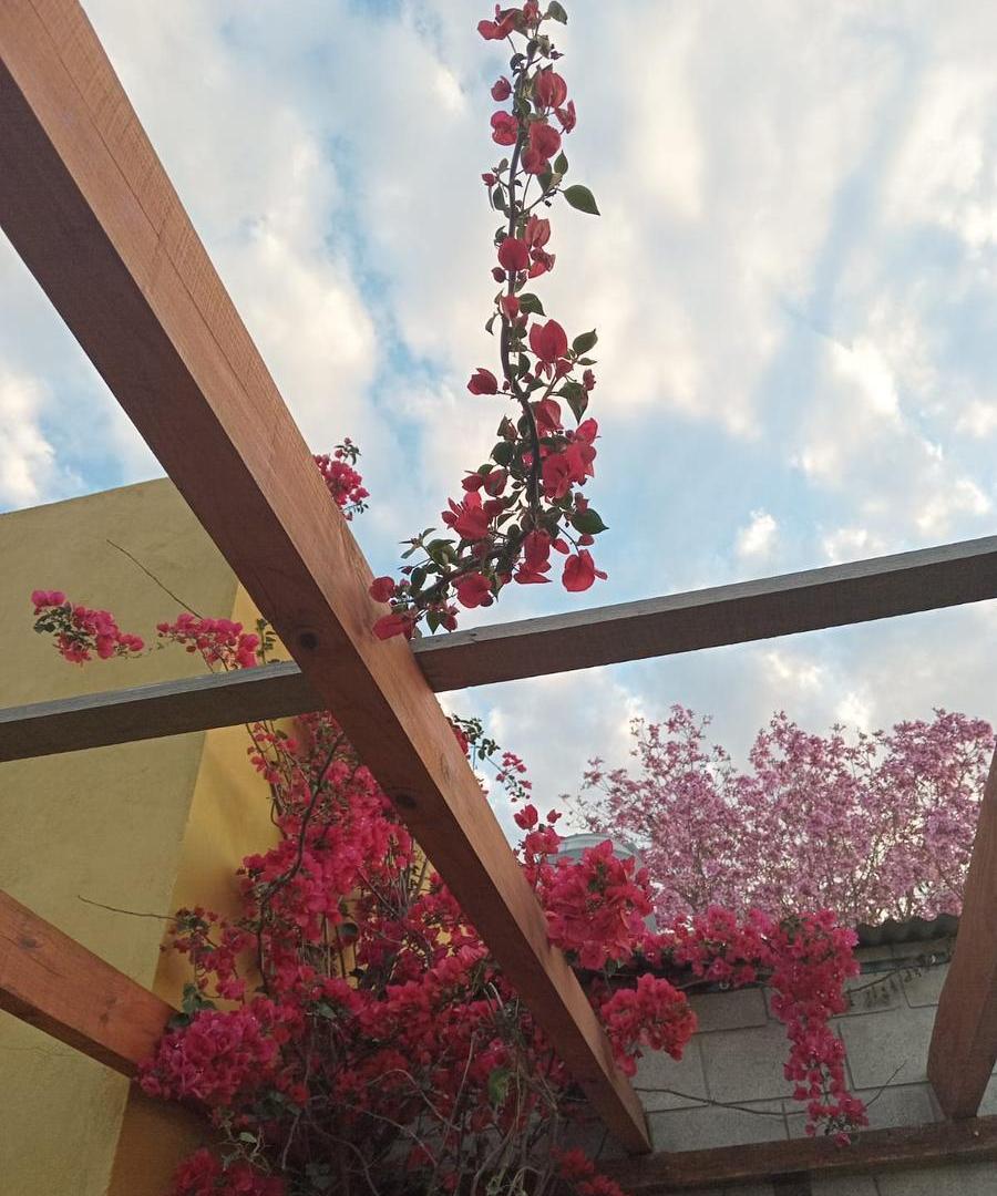 Foto de Venta casa tipo loft de 1 dormitorio con pileta en Andino, imagen 5