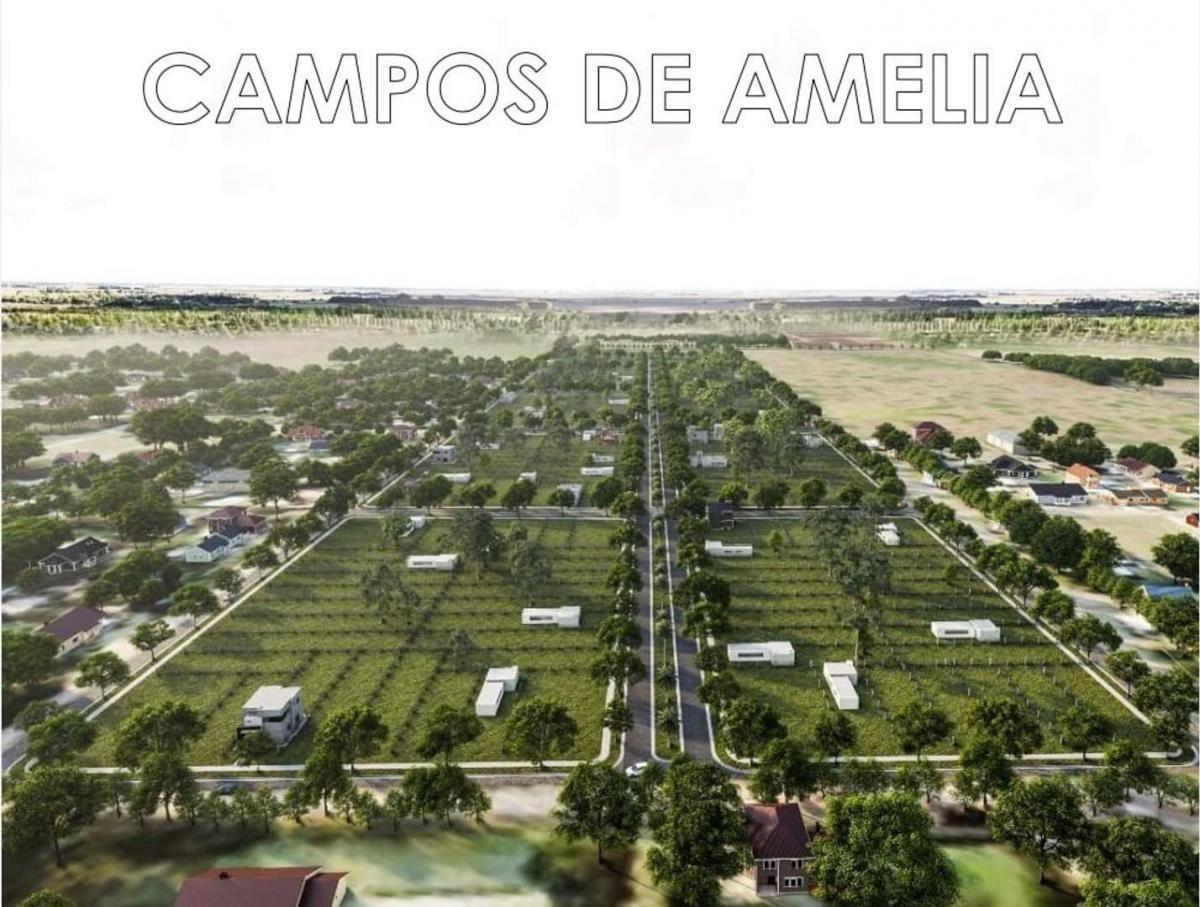 Foto de Venta de terreno en barrio abierto Campos de Amelia, Villa Amelia, imagen 5