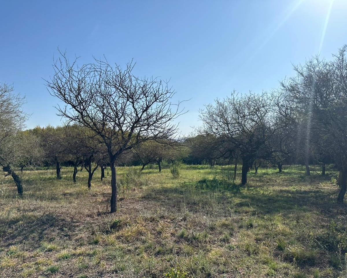 Corral de Barrancas lote plano de 3.800m2