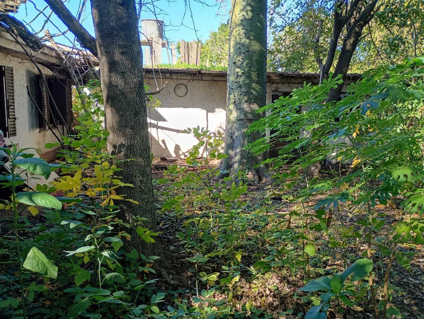 Gran lote en Barrio la Perla 5