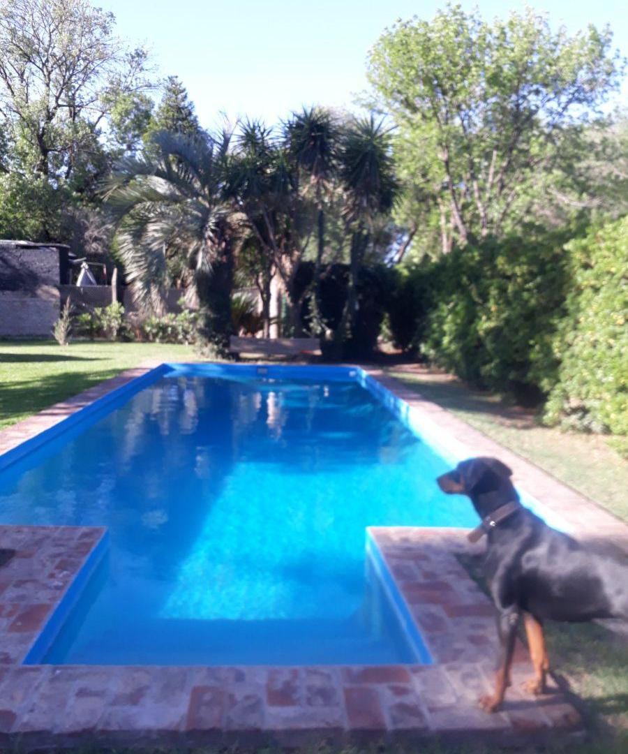 Foto de VENTA LOTE CON PERFORACIÓN Y PILETA, CERCADO Y ARBOLADO, imagen 2