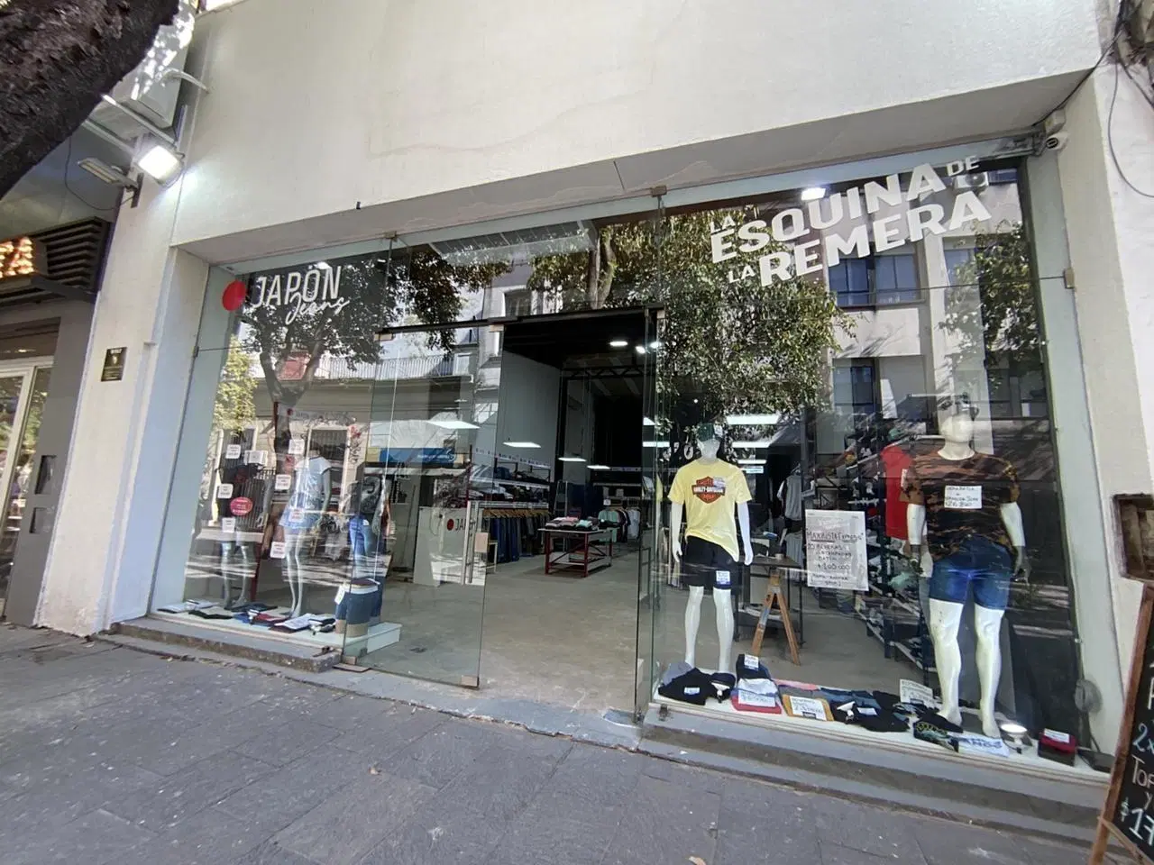 Local en Centro 3