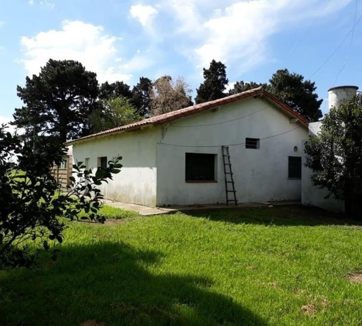 Foto de VENTA DE CAMPO 10 HECTÁREAS SOBRE RUTA 226, imagen 4