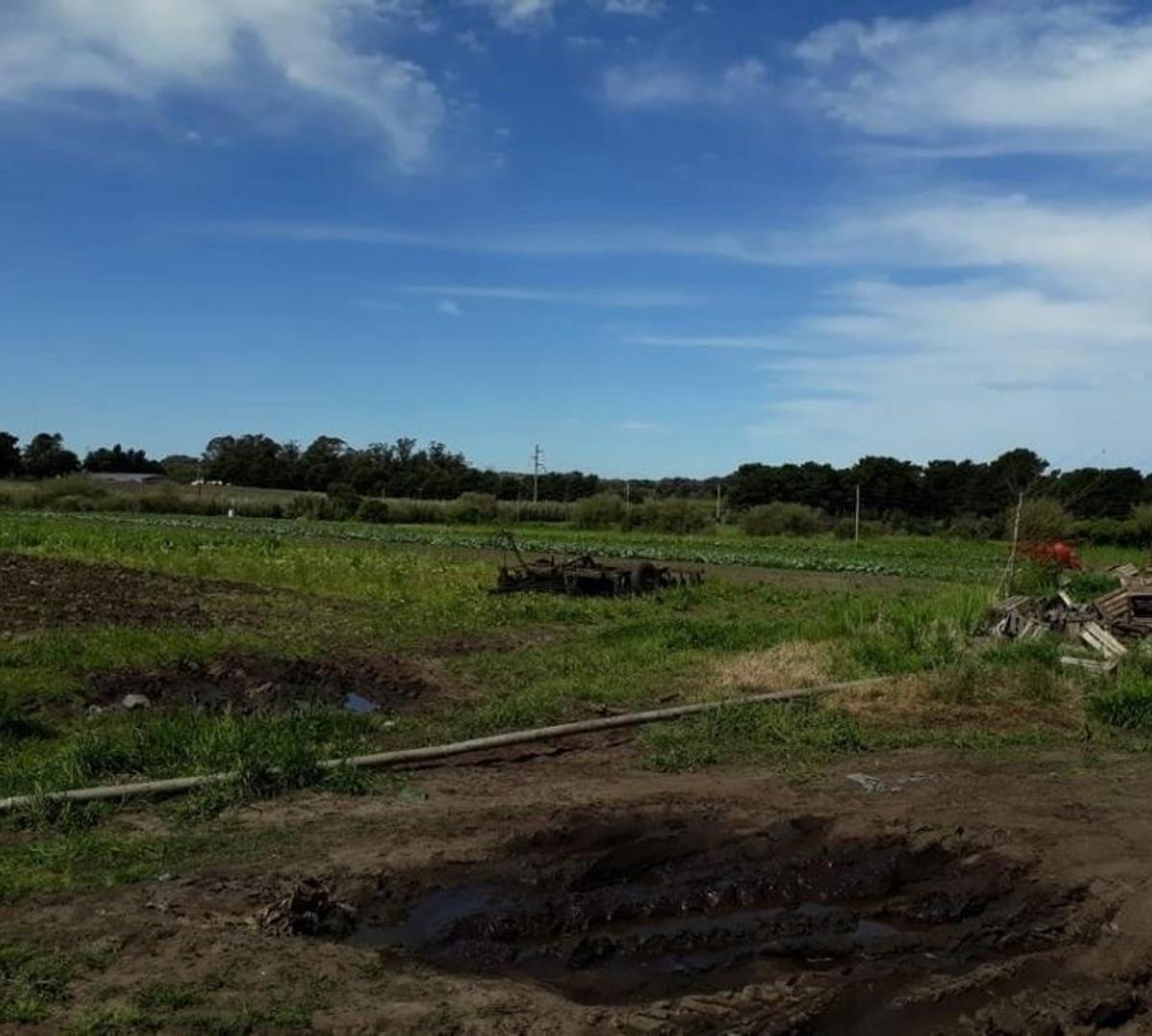 Foto de VENTA DE CAMPO 10 HECTÁREAS SOBRE RUTA 226, imagen 2