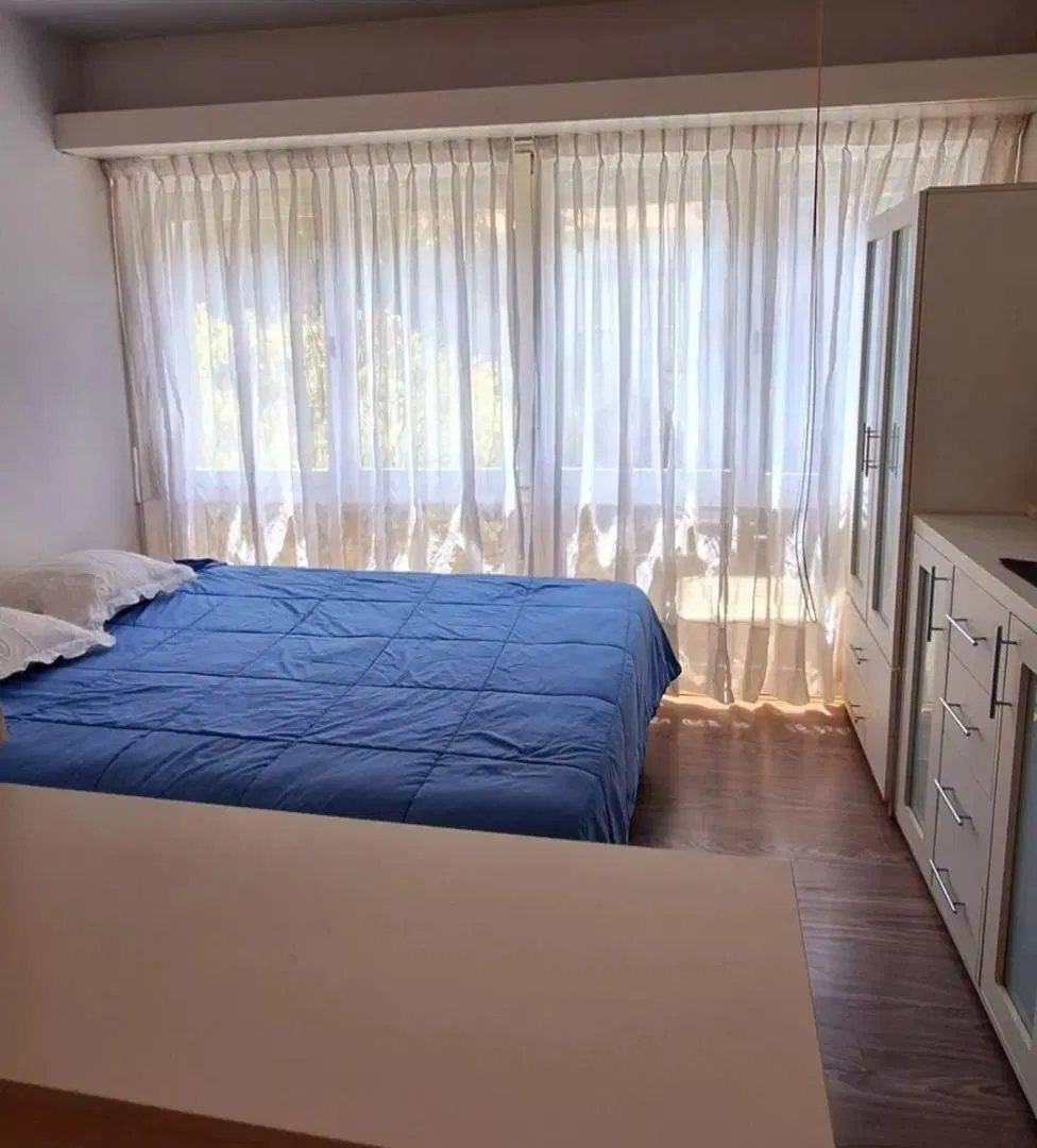 DEPARTAMENTO EN ALQUILER HASTA DICIEMBRE 3