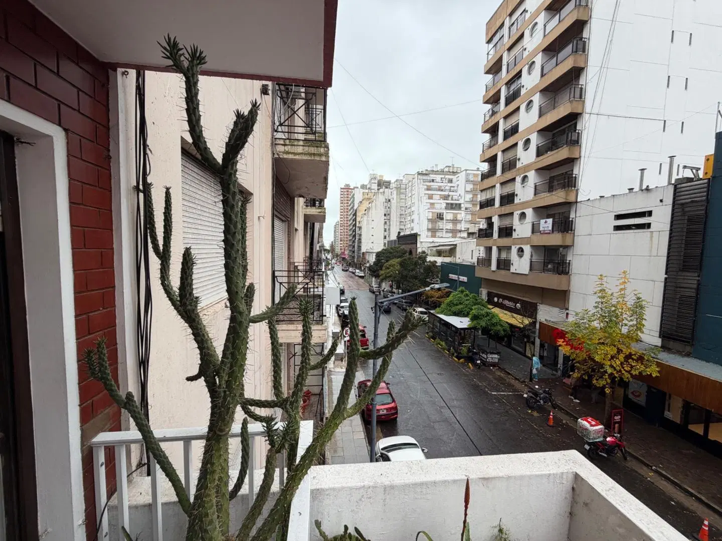 Alquiler 3 ambientes con balcon y patio 19 meses 3