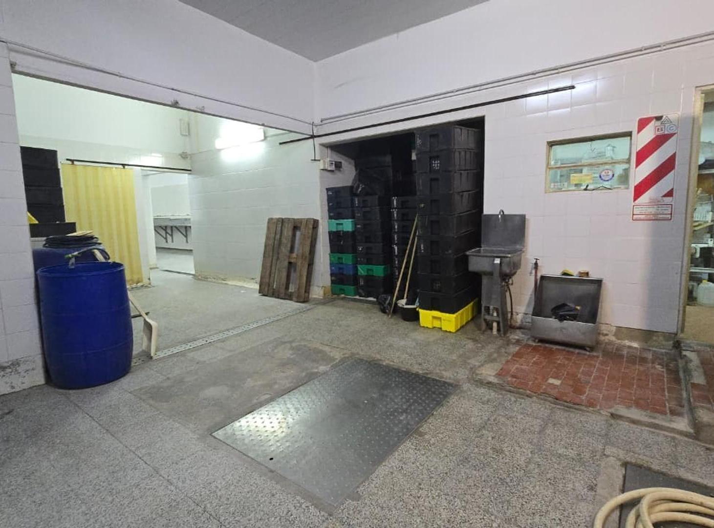 Foto de ALQUILER DE FABRICA DE FILETEADO, imagen 5