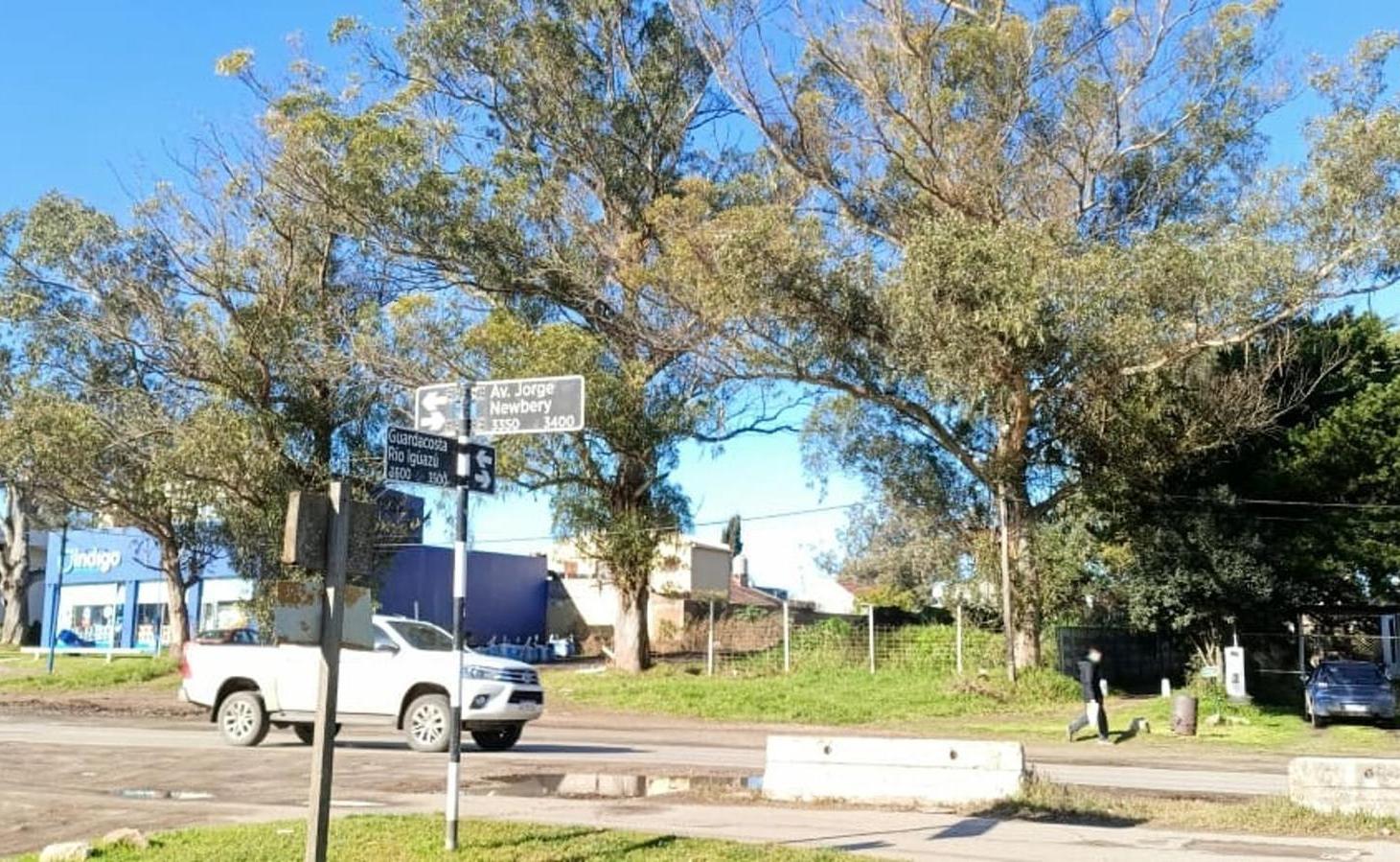 Foto de VENTA EN BLOCK, 3 LOTES SOBRE JORGE NEWBERY, imagen 1
