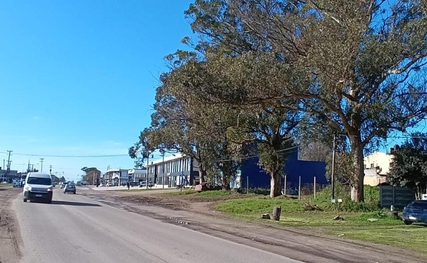 Foto de VENTA EN BLOCK, 3 LOTES SOBRE JORGE NEWBERY, imagen 3