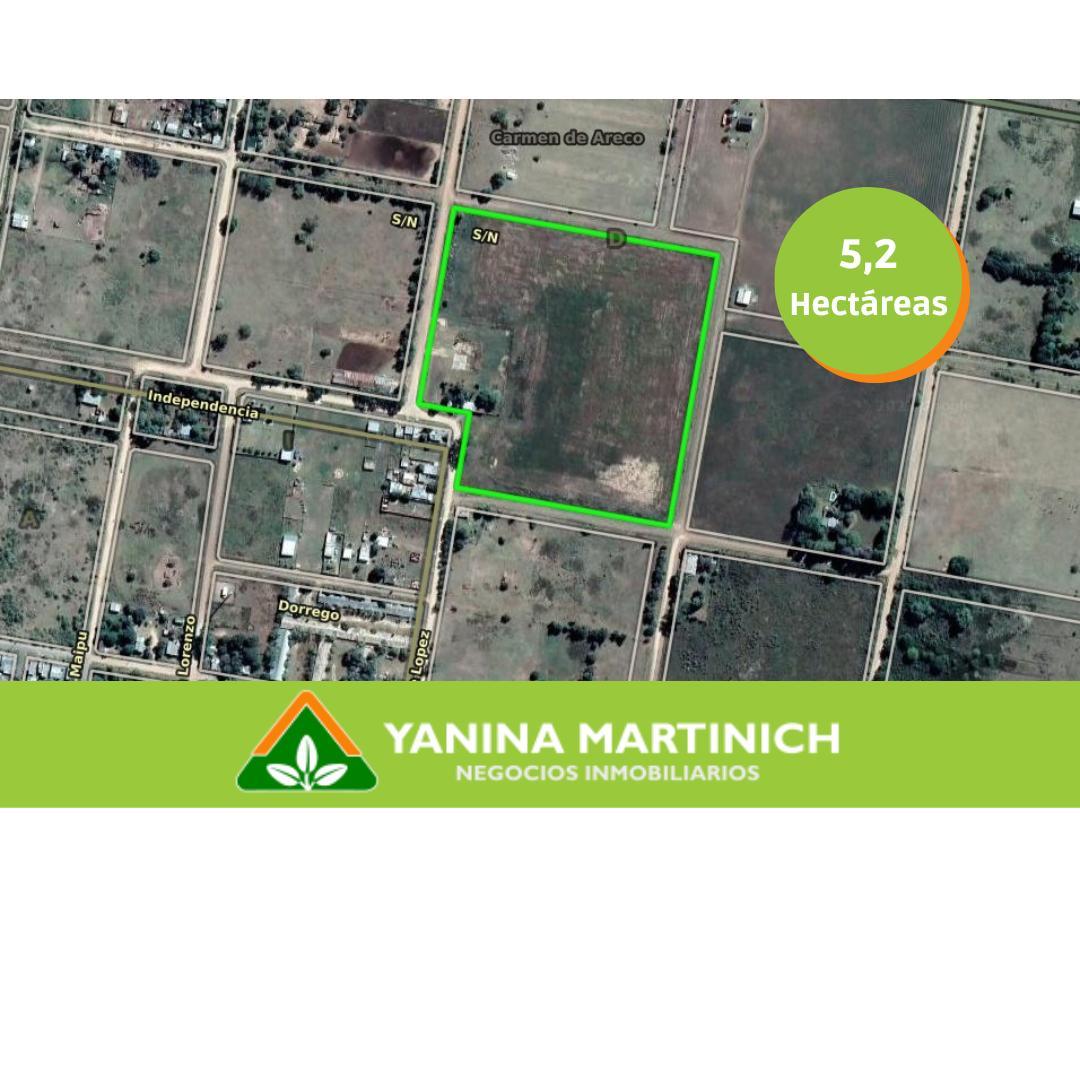 Foto de EN VENTA PROPIEDAD ANTIGUA CON AMPLIO TERRENO - C. de Areco, imagen 2