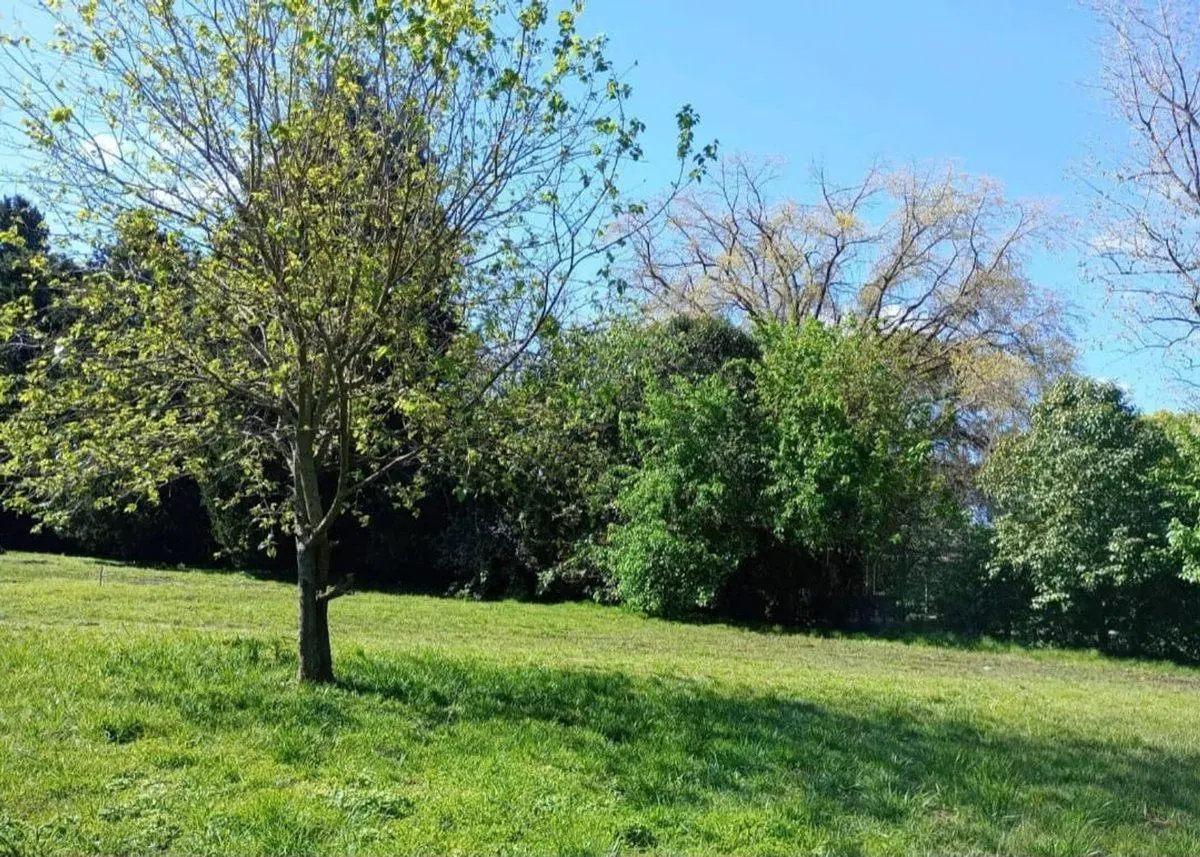 VENTA TERRENO EN GENERAL RODRIGUEZ PERMUTA 3