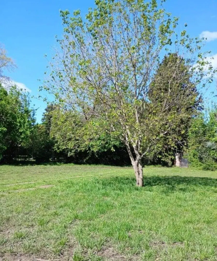 VENTA TERRENO EN GENERAL RODRIGUEZ PERMUTA 5