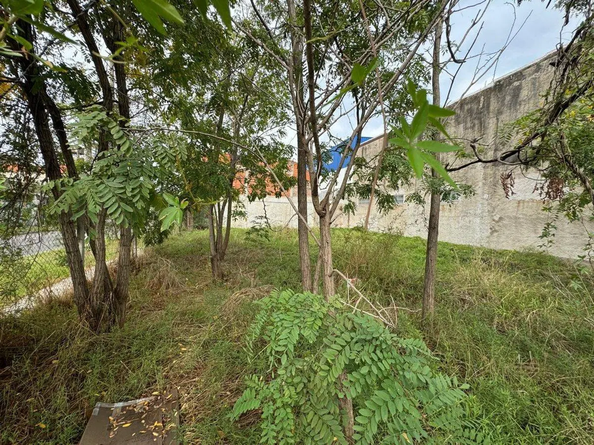 OPORTUNIDAD VENTA LOTE 420M2 EN LOMA HERMOSA 8