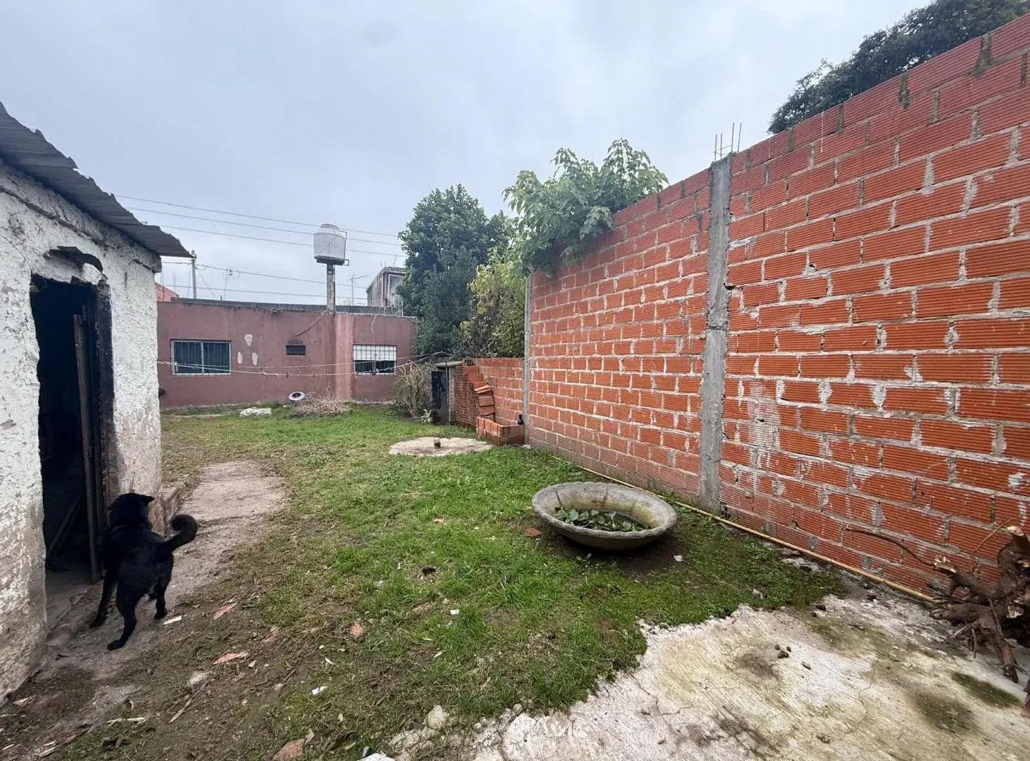 VENTA CASA 5 AMB EN V. DEL PINO  COCHERA Y JARDIN 3