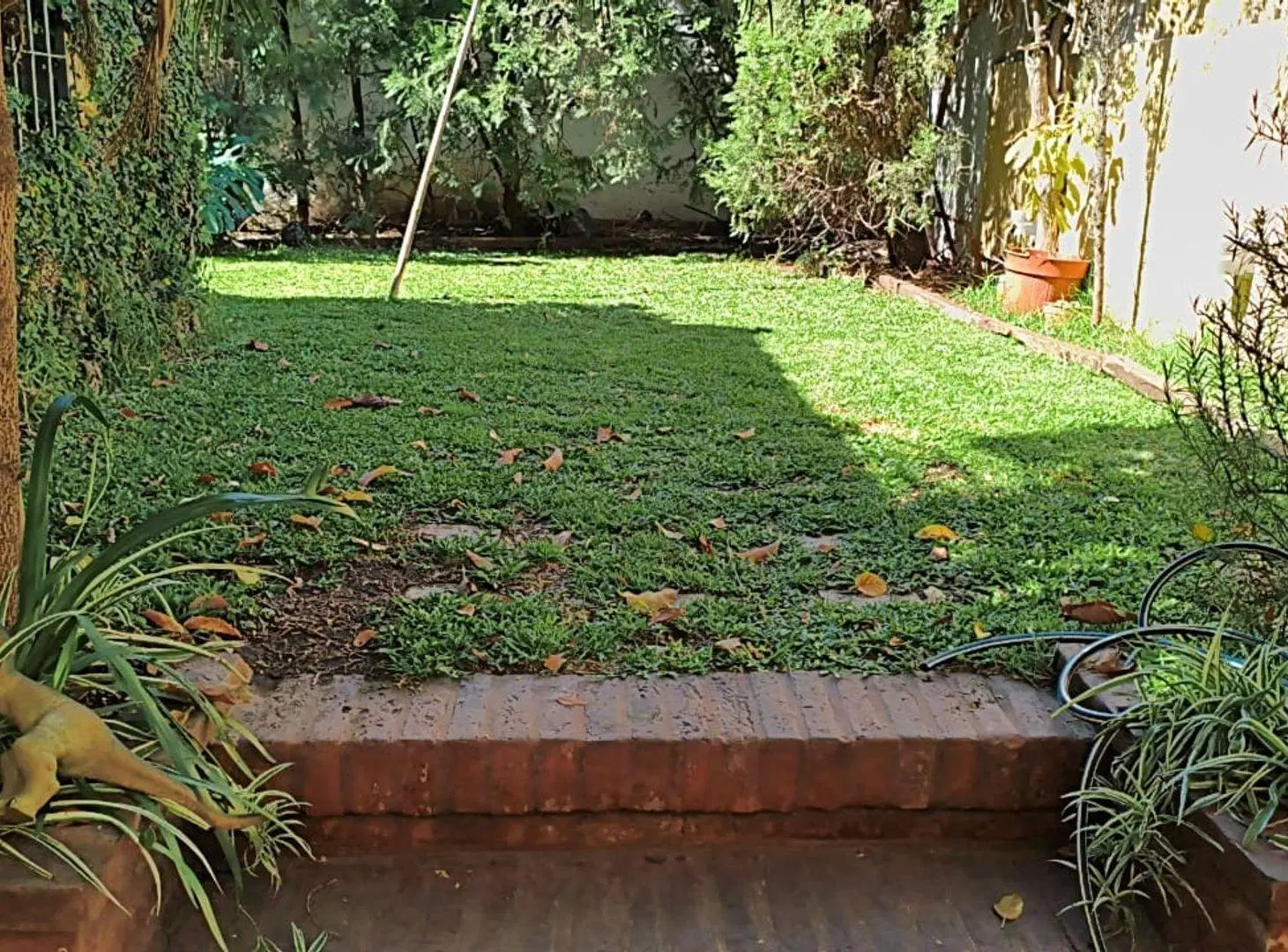 PH AL FRENTE CON PATIO, JARDIN Y COCHERA IMPECABLE 3