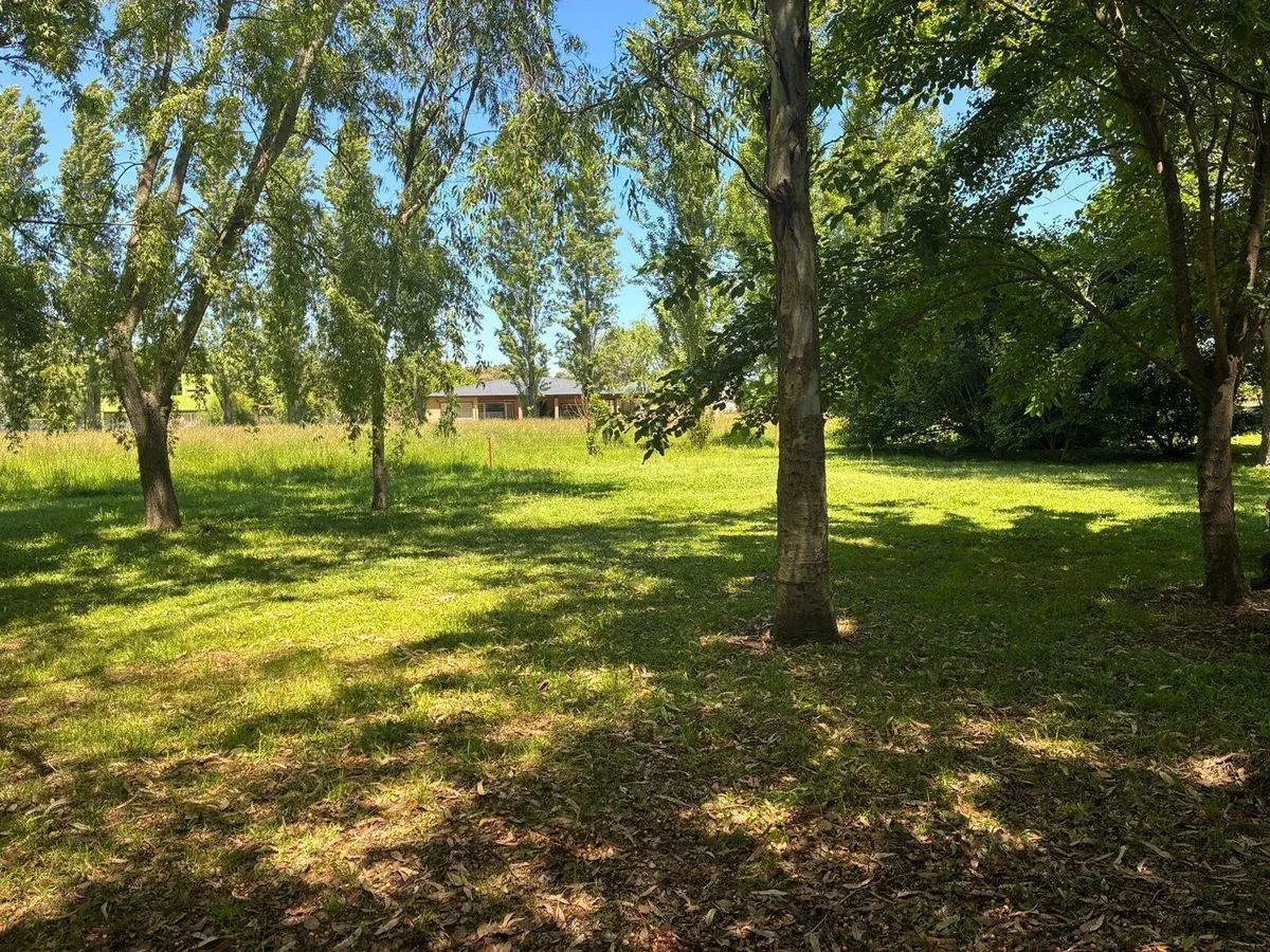 VENTA LOCAL GASTRONOMICO LAGUNA MONTE  LOTE7500 mt 4