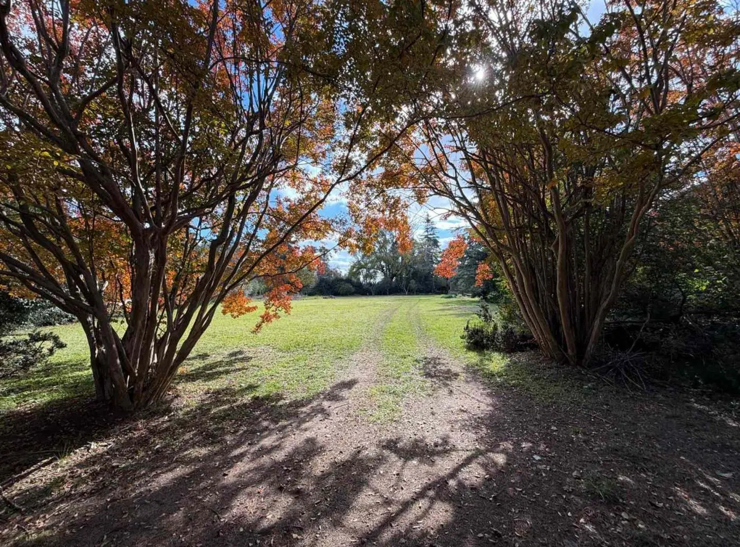 Finca en Venta - Gral Rodriguez - 15.000M2-Eventos 5