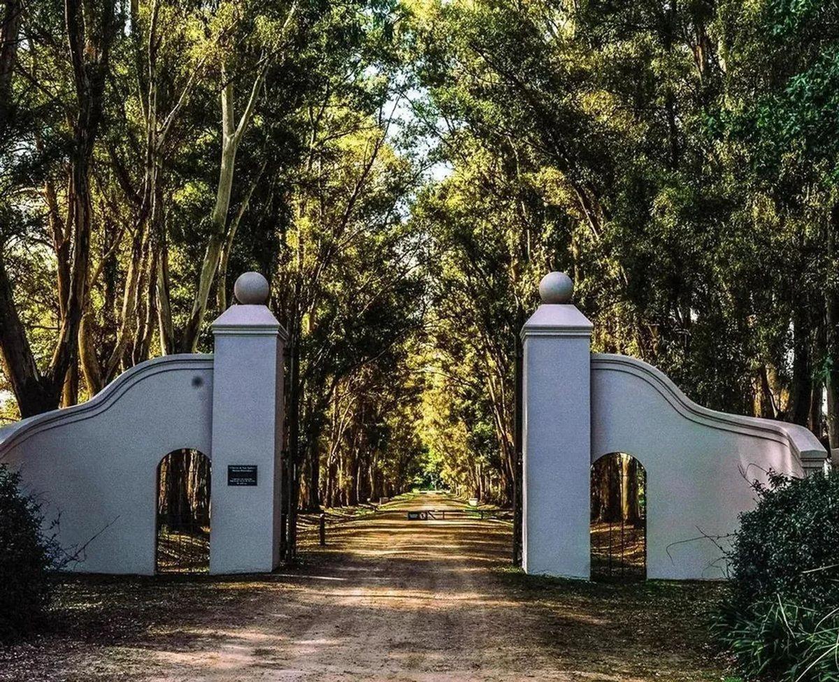 Foto de VENTA TERRENO EN CHACRAS DE SAN ANDRES, imagen 1