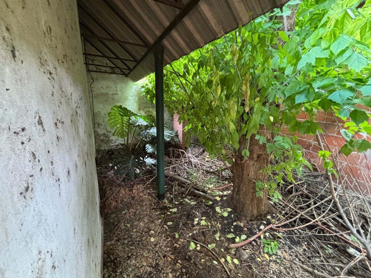 Foto de VENTA CASA A RECICLAR 4 AMB O LOTE SANTOS LUGARES, imagen 4