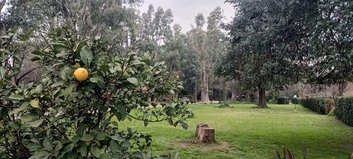 Foto de VENTA COMPLEJO DE CABAÑAS DELTA DE TIGRE ., imagen 4