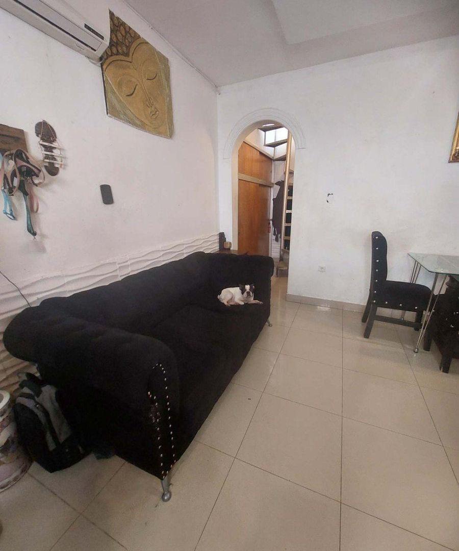 Foto de VENTA DE 4 PH + LOCAL EN LOTE PROPIO,DEVOTO., imagen 3