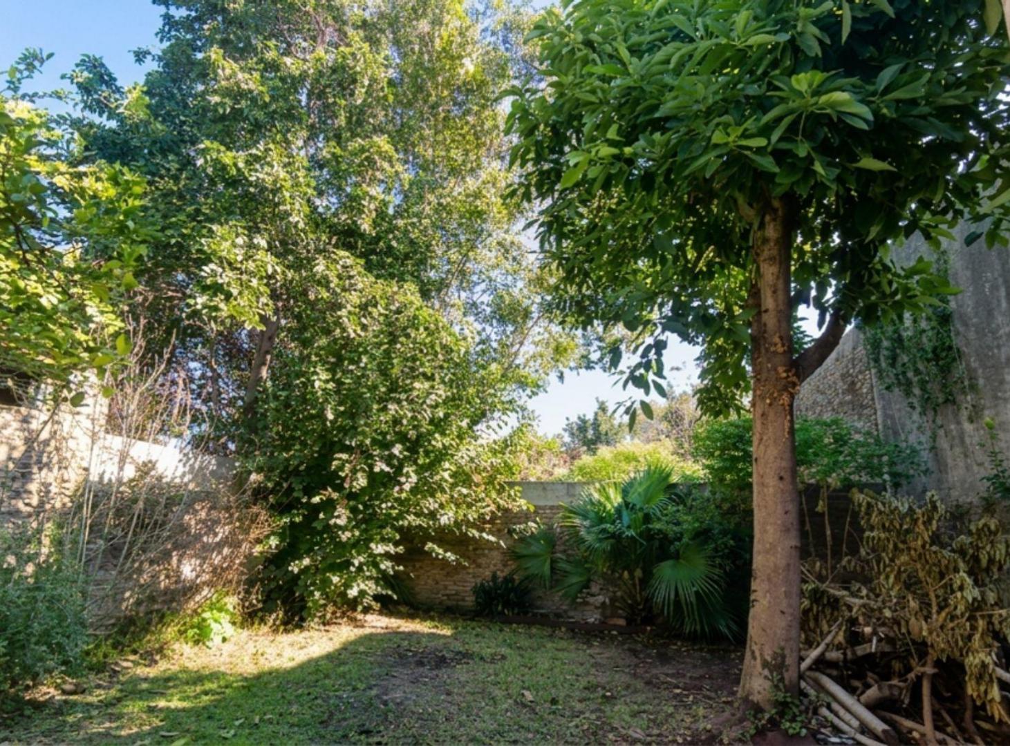 Foto de VENTA CASA 3 AMBIENTES MERLO CENTRO, imagen 3
