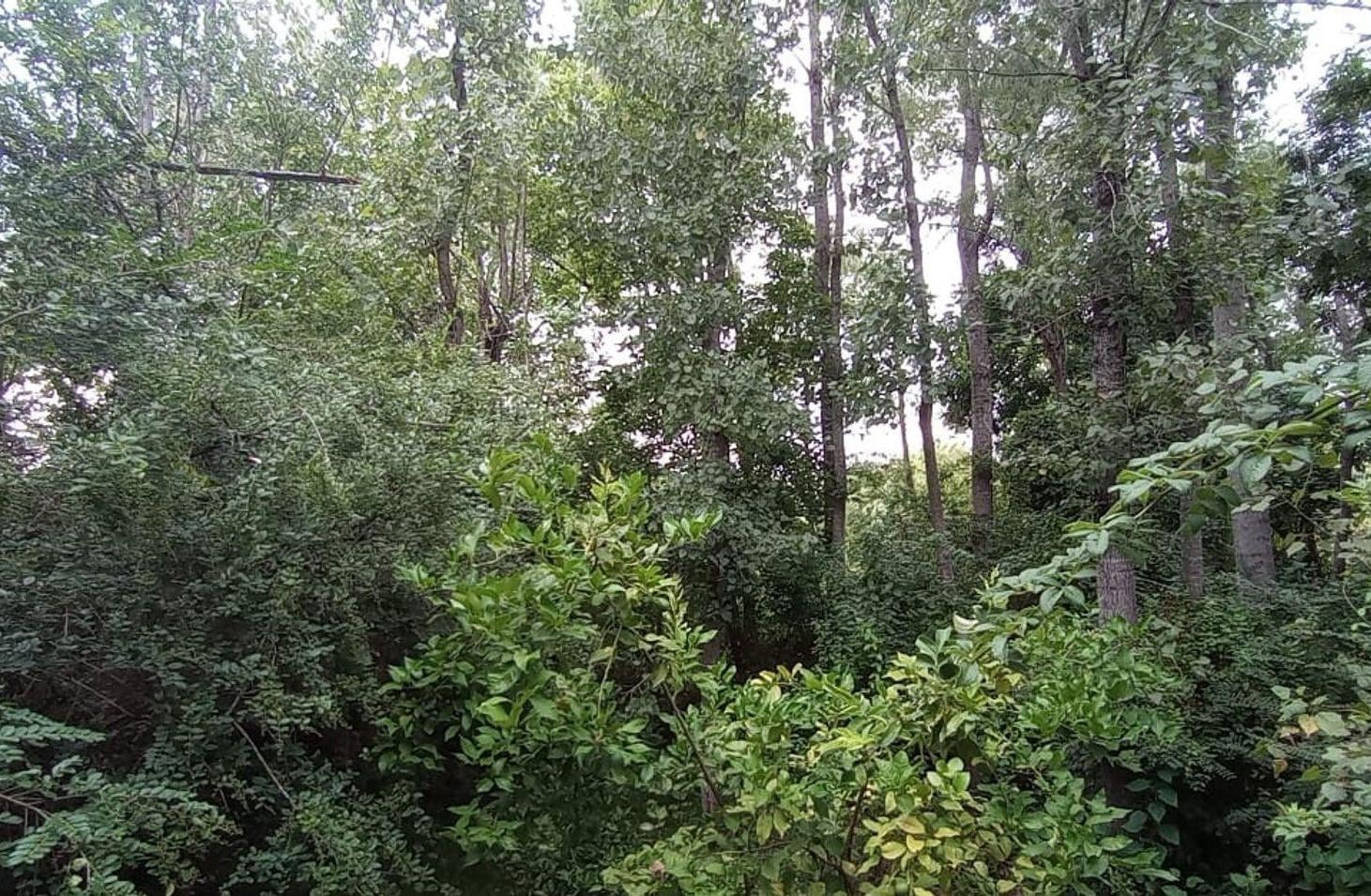 Foto de VENTA LOTE 750 M2 APX EN ALDEA DEL LUJAN-ESCOBAR, imagen 4