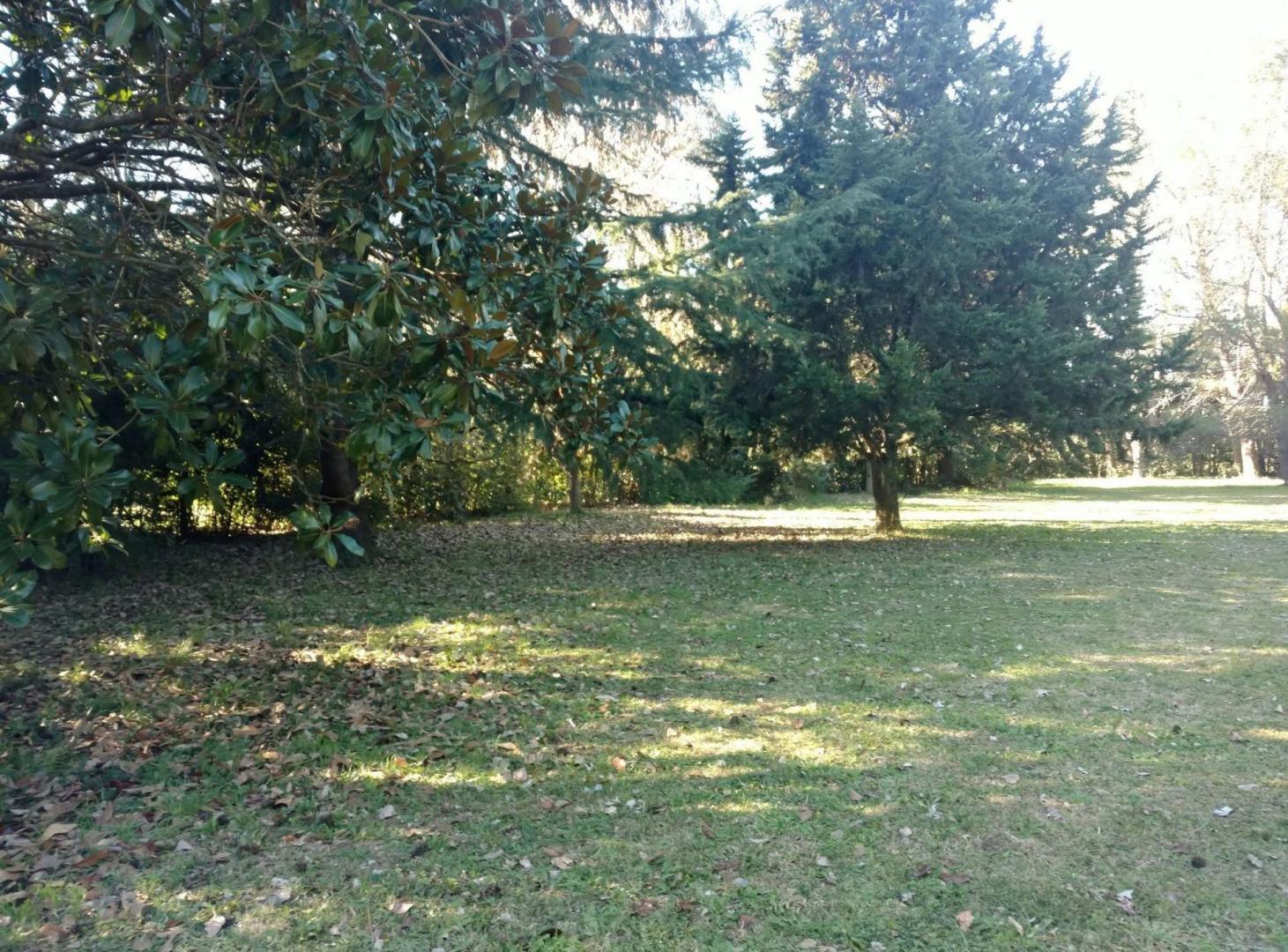 Foto de LOTE 3400M2 PARQUIZAD0 BO. LA LOMA SPEGAZZINI, imagen 3