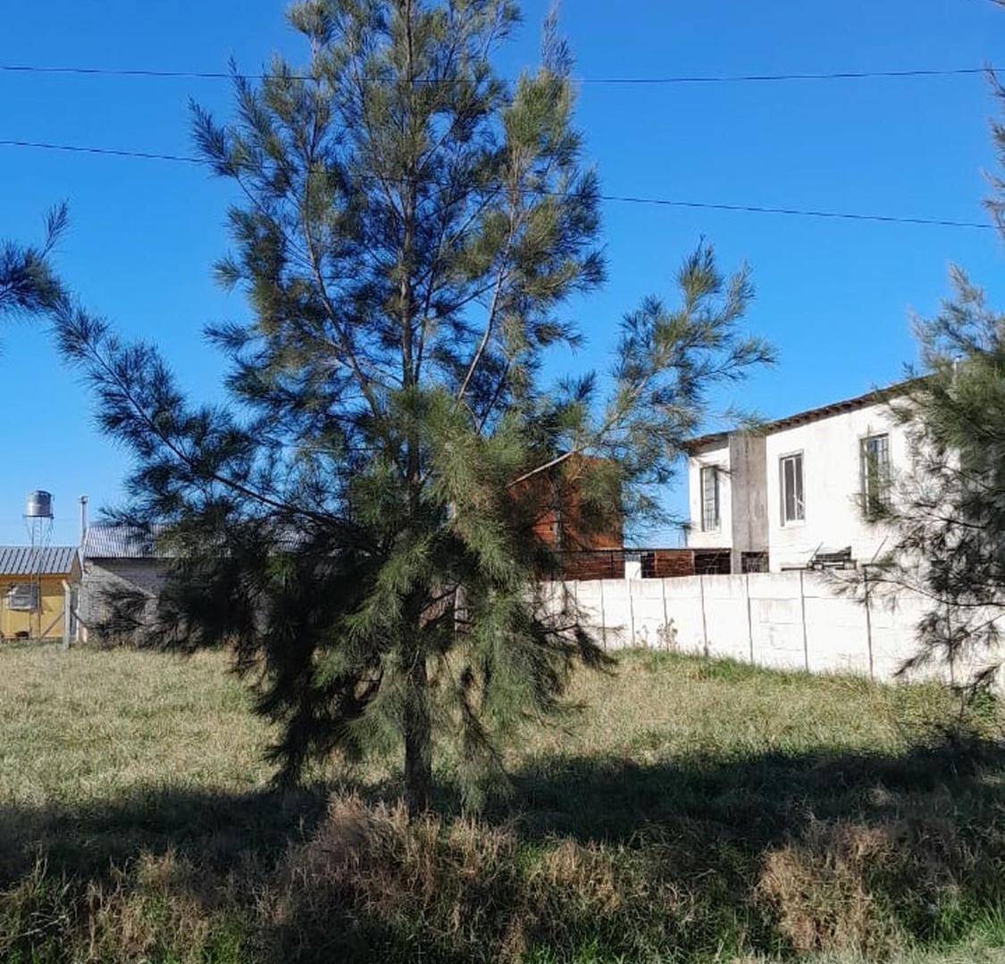 Foto de Lote 360m2 Moradas, Máximo Paz, CAÑUELAS, permuta, imagen 3