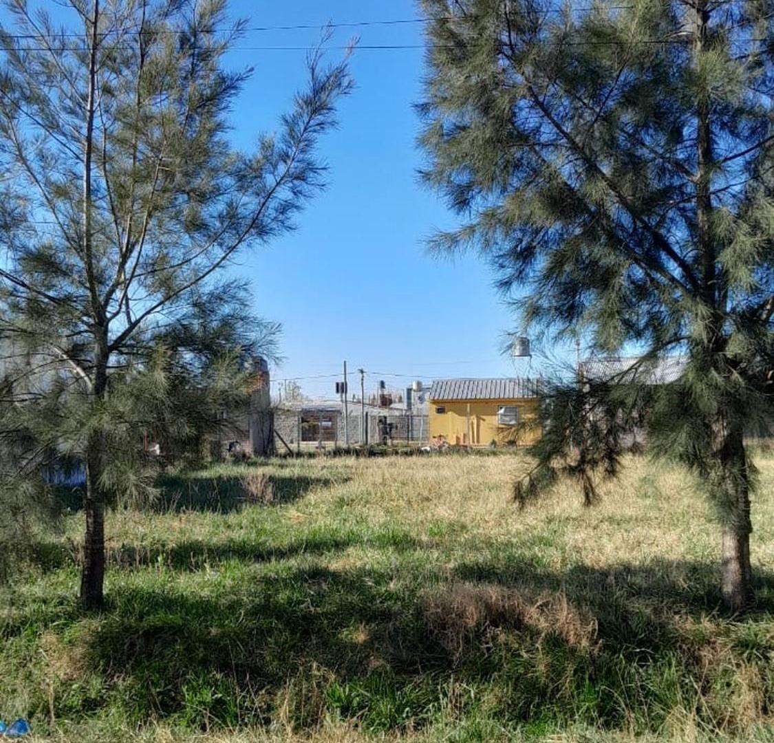 Foto de Lote 360m2, Moradas, Máximo Paz, CAÑUELAS, Permuta, imagen 3