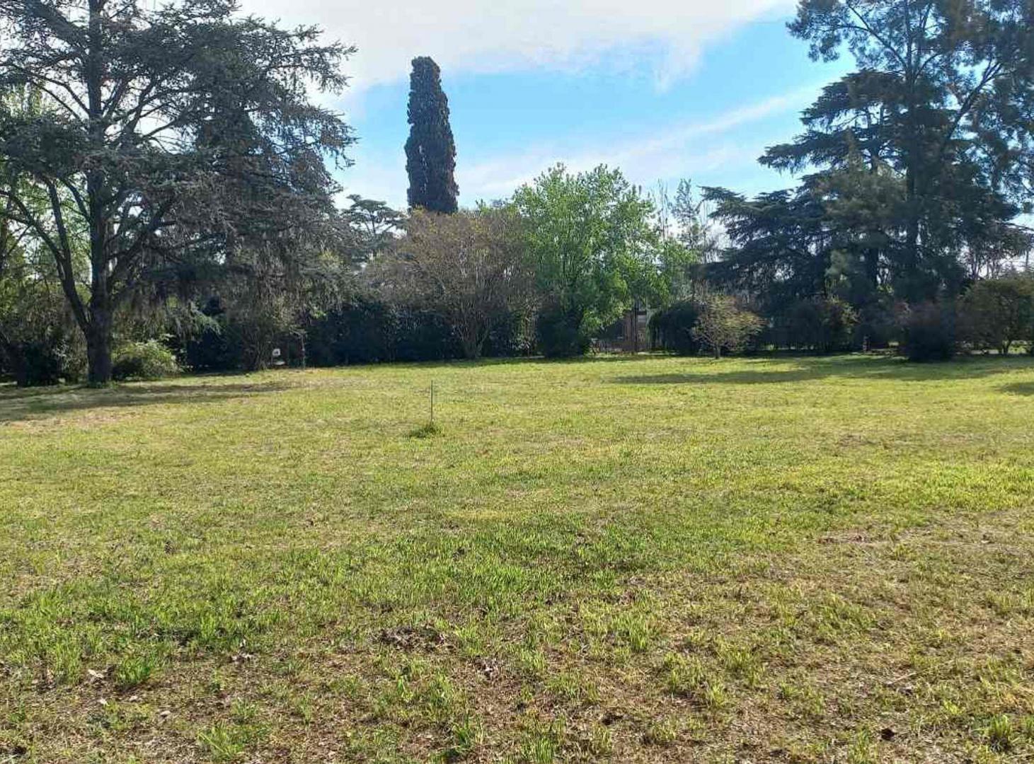 Foto de VENTA LOTES BLOCK 11 UNIDADES - PASO DEL REY, imagen 4