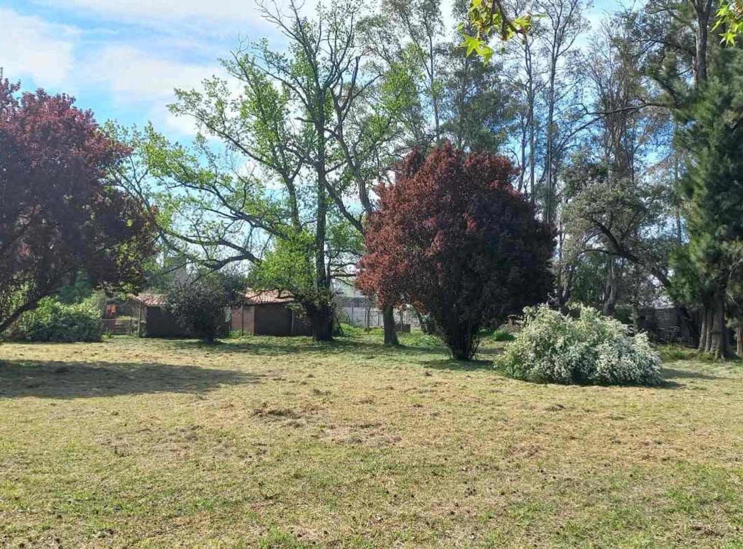 Foto de VENTA LOTES BLOCK 11 UNIDADES - PASO DEL REY, imagen 3