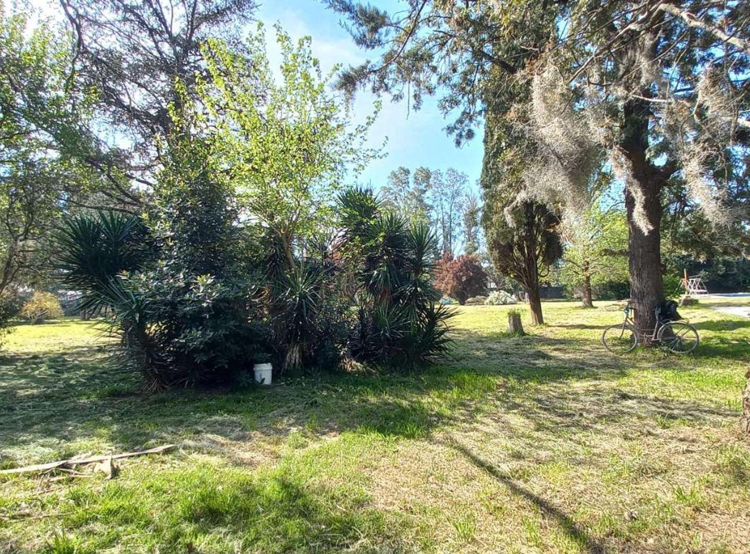 Foto de VENTA LOTES BLOCK 11 UNIDADES - PASO DEL REY, imagen 2