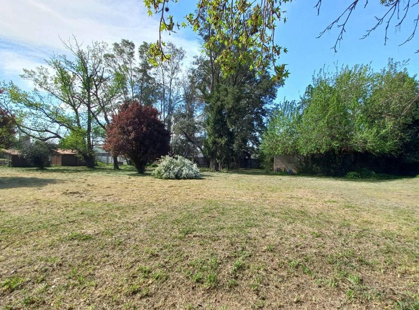 Foto de VENTA LOTES BLOCK 11 UNIDADES - PASO DEL REY, imagen 5