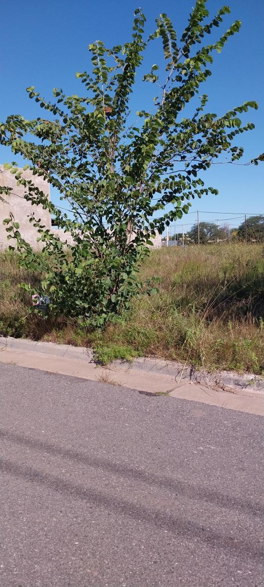 Atención inversor Ultimos lotes venta de lotes Villa Allende Barrio Norte uno
