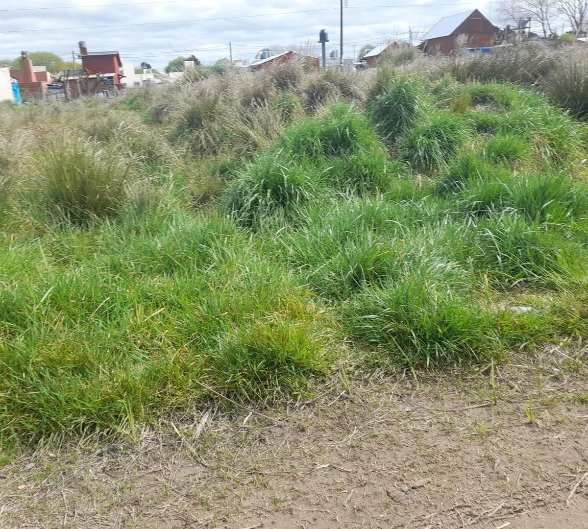 Foto de Terreno 10x40 y 10x30 en Las Toninas, imagen 3