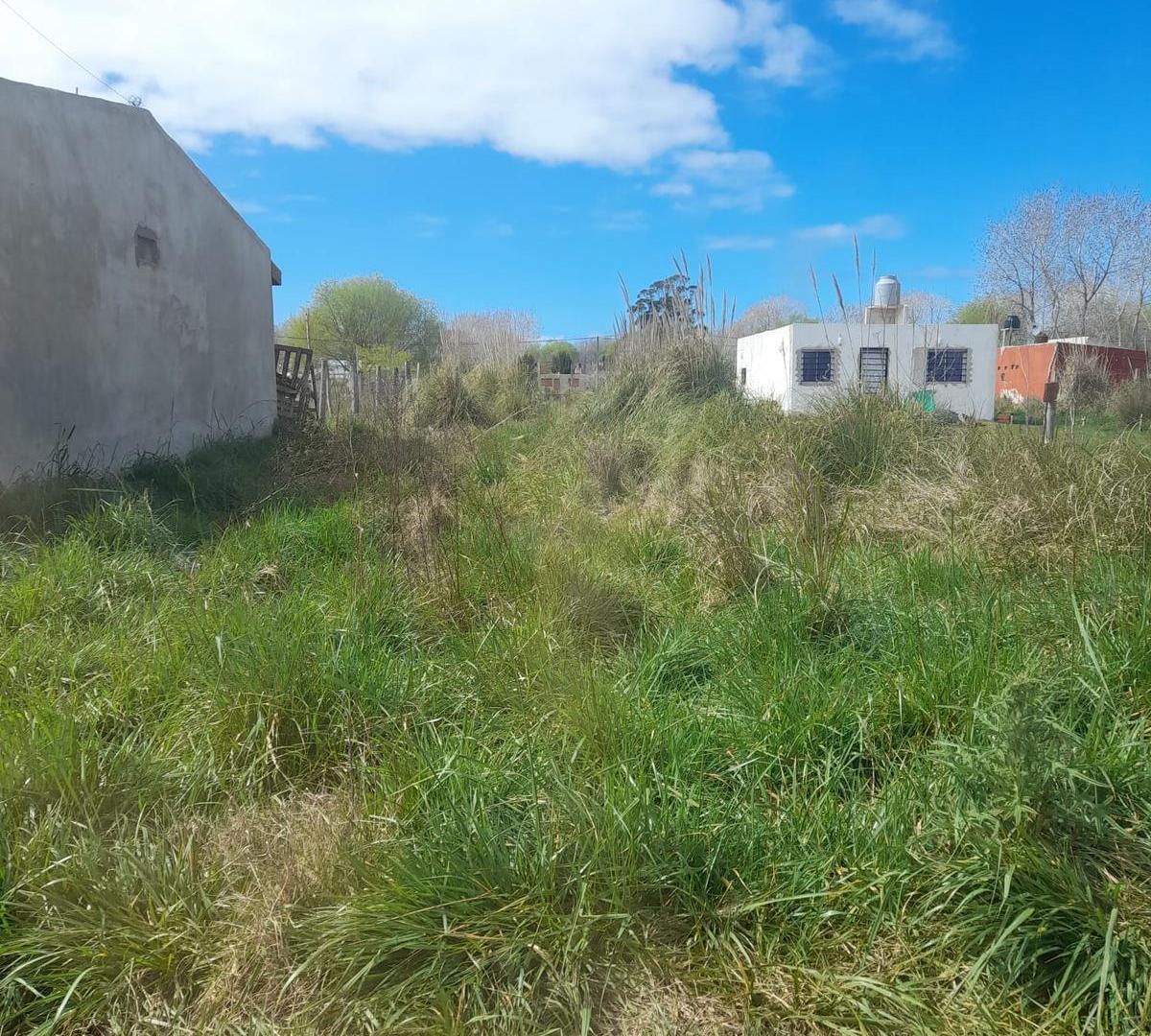Foto de Terreno 10x40 y 10x30 en Las Toninas, imagen 2