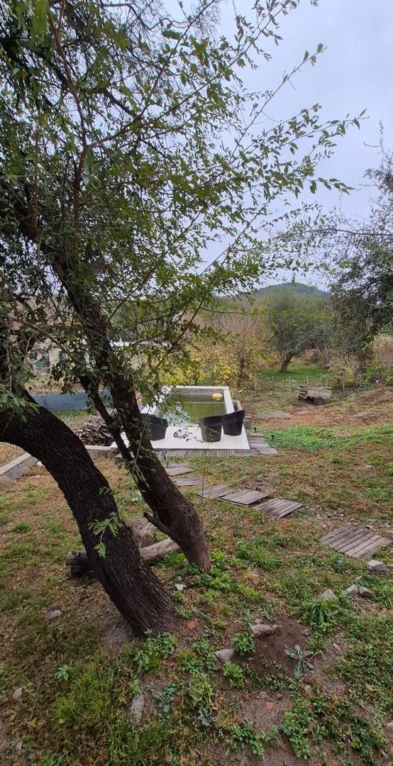 Foto de Casa en Venta, imagen 5