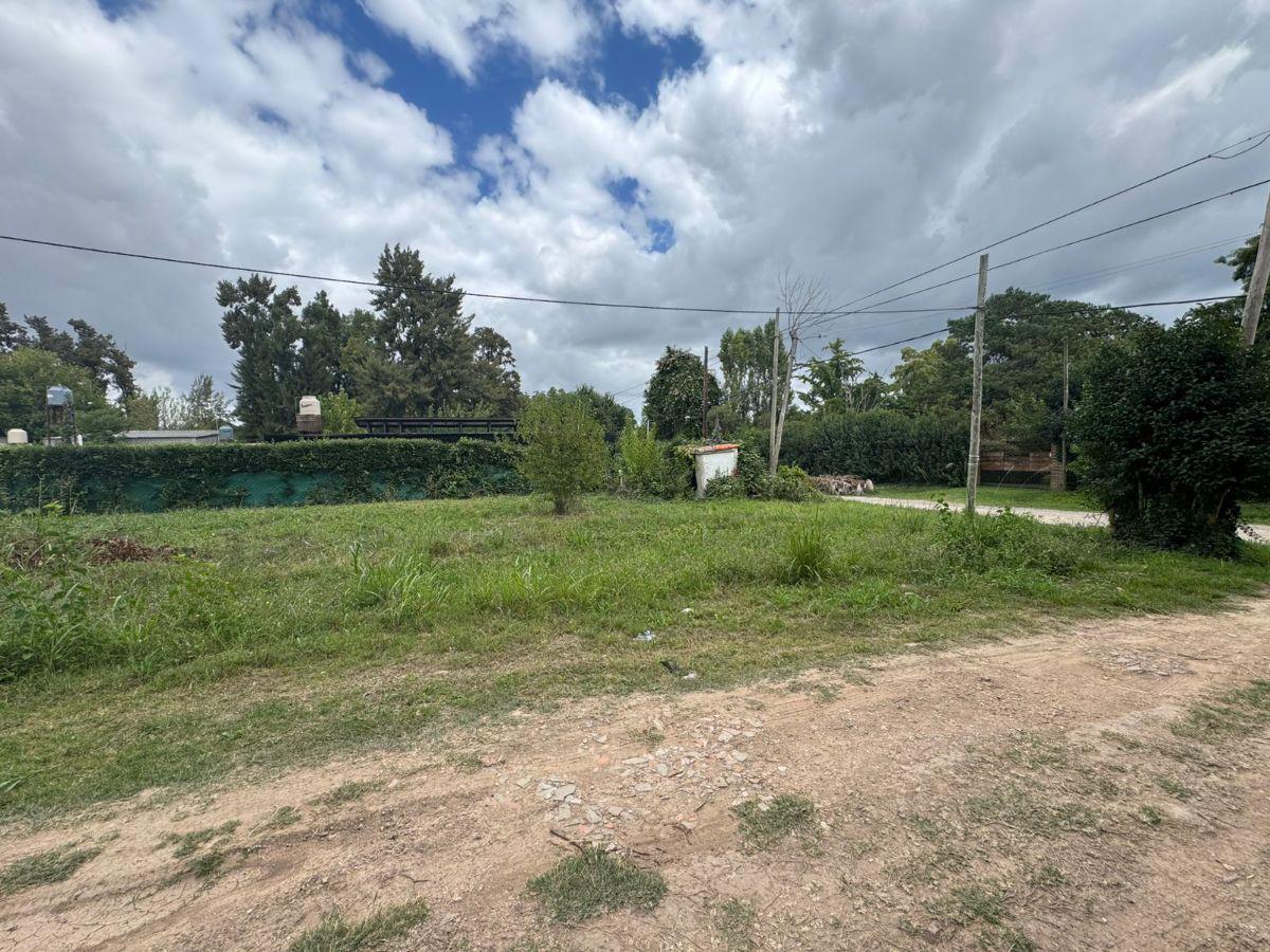 407 E/ 30 y 31 LOTE EN VENTA, VILLA ELISA, LA PLATA.-Ubicado en 407 entre 30 y 31;