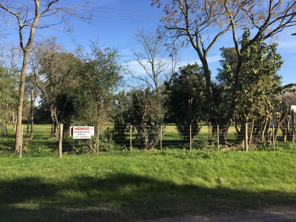 CARLOS PELLEGRINI Y DIAGONAL 7 DE NOVIEMBRE LOTE EN VENTA, CHASCOMUS.- 4